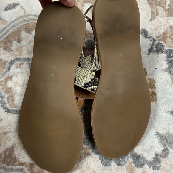 Coach Python Sandals - Picture 9 of 10